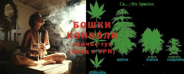 гидра Армянск