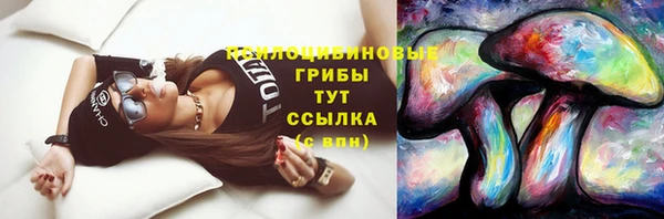 мяу мяу мука Алексин