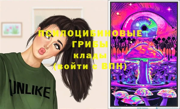 гидра Армянск