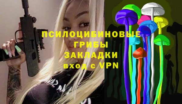 крисы Алзамай