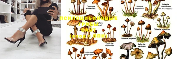 амфетамин Алексеевка