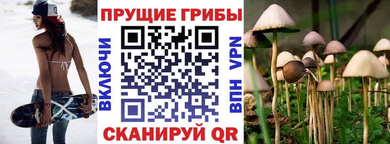 МЕГА tor  Белозерск  Галлюциногенные грибы мухоморы 